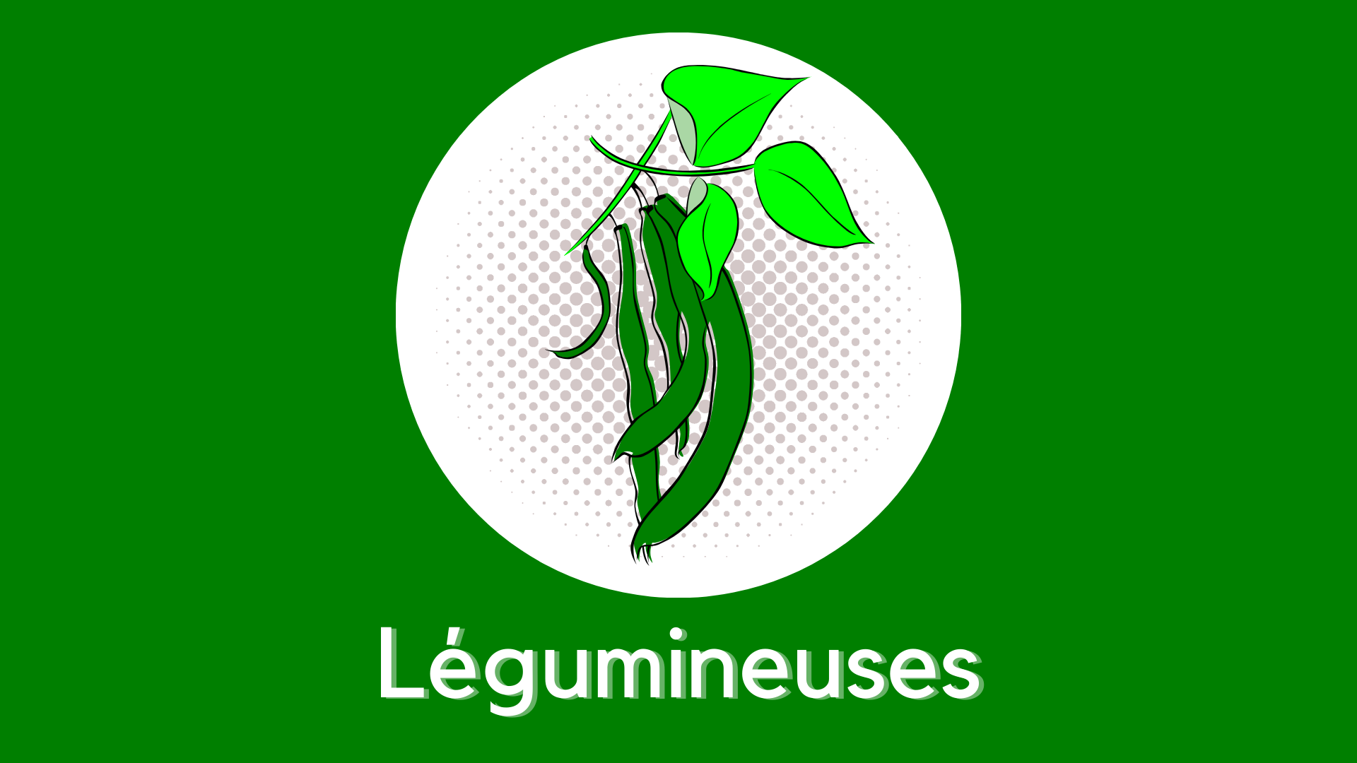 Légumineuses